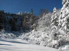 Klik za večjo sliko